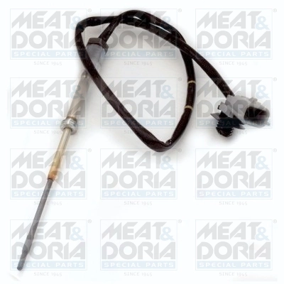 Sensor, exhaust gas temperature